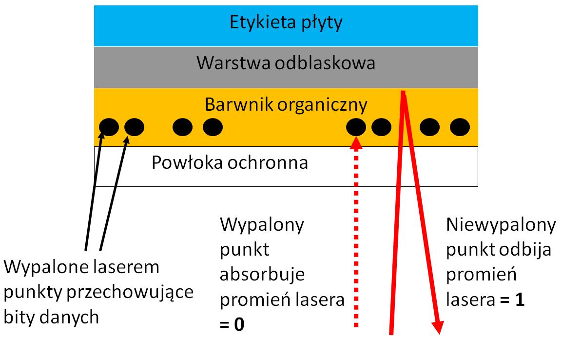 Pyta nagrywana